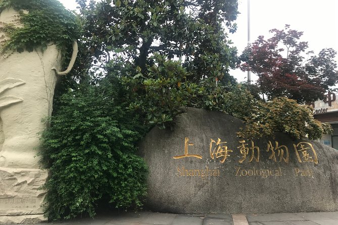 Private Tour of Shanghai Zoo, Xintiandi and Qibao Old Street With Local Delicacy - Shanghai Zoo Experience