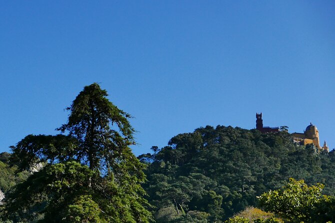 Private Tour of Sintra and Surroundings - Frequently Asked Questions