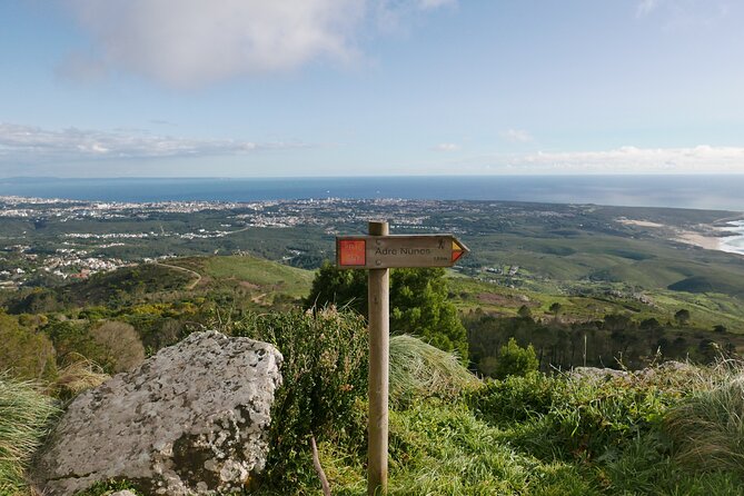 Private Tour of Sintra and Surroundings - The Sum Up
