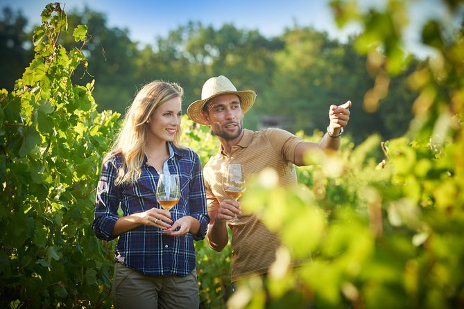 Private Tour of Slovenian Kras From Ljubljana - Good To Know