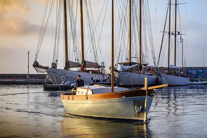 Private Tour of Sorrento and Capri by Gozzo Hybrid - Itinerary Overview