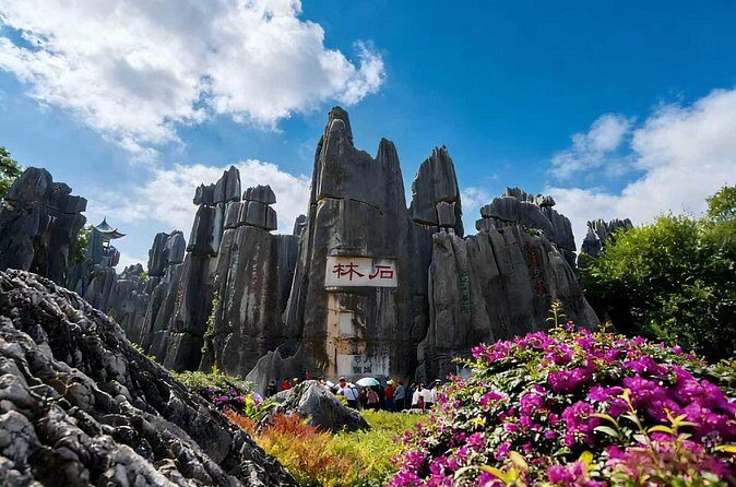 Private Tour of Stone Forest Geological Park in Kunming - Who Will Love This Tour?