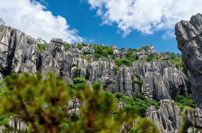 Private Tour of Stone Forest Geological Park in Kunming - The Sum Up