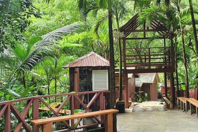 Private Tour of Sulphur Spring and Toraile Waterfall in Soufriere - The Sum Up: Who Is This Tour Best For?