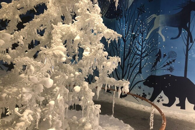 Private Tour of Swarovski Crystal World From Innsbruck - Reviews and Ratings