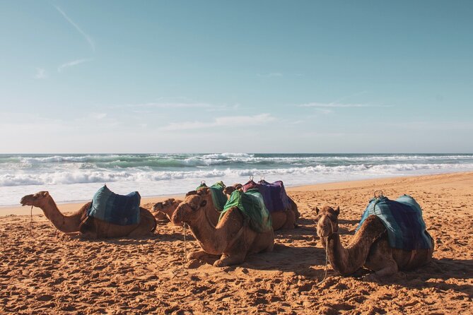Private Tour of Tangier From Cadiz With Pick up and Drop off - Cancellation Policy