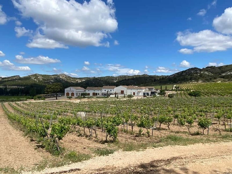 Private tour of the Alpilles, wine tastings, and local restaurant - Good To Know