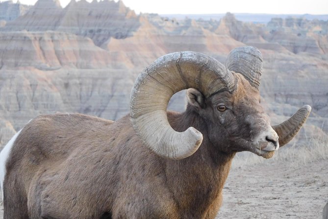 Private Tour of the Badlands With Local Experts - Inclusions and Services