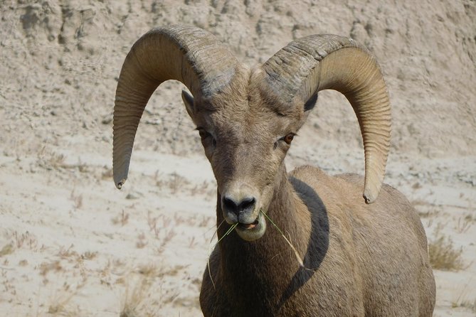 Private Tour of the Badlands With Local Experts - Cancellation Policy