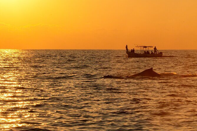 Private Tour of the Beaches of Puerto Escondido in Lancha - Good To Know