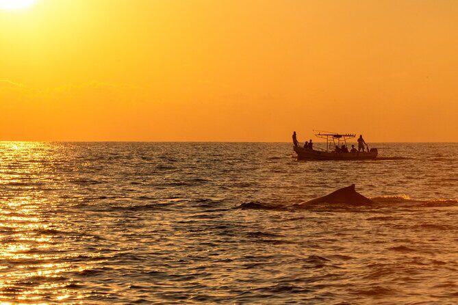 Private Tour of the Beaches of Puerto Escondido in Lancha - The Sum Up: Is the Private Tour of Puerto Escondido’s Beaches Worth It?