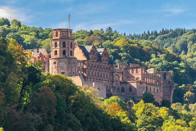 Private Tour of the Best of Heidelberg- Sightseeing, Food & Culture With a Local - Insider Tips for the Ultimate Heidelberg Experience