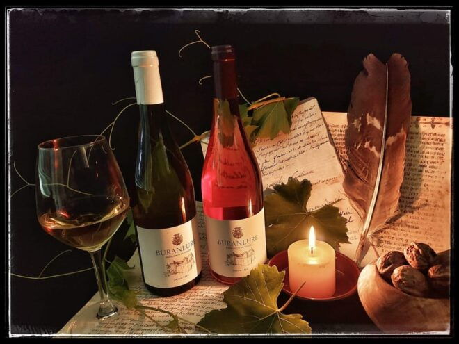 Private Tour of the Castle and Wine Tasting - Pricing Details and Booking Process