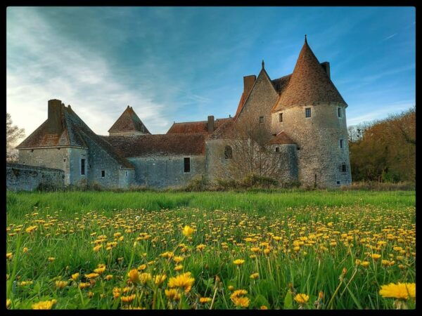 Private Tour of the Castle and Wine Tasting - Wine Tasting Selection