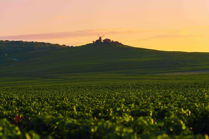 Private Tour of the Champagne Area, Meet Local Producers and Taste Their Champagne, Start From Your - Highlights of the Champagne Region Tour