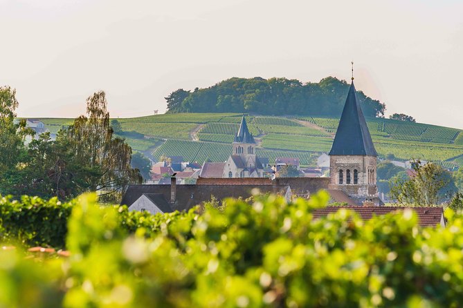 Private Tour of the Champagne Area, Meet Local Producers and Taste Their Champagne, Start From Your - Tasting Exquisite Champagne Varieties