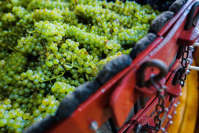 Private Tour of the Champagne Area, Meet Local Producers and Taste Their Champagne, Start From Your - Exploring Unique Experiences on the Tour