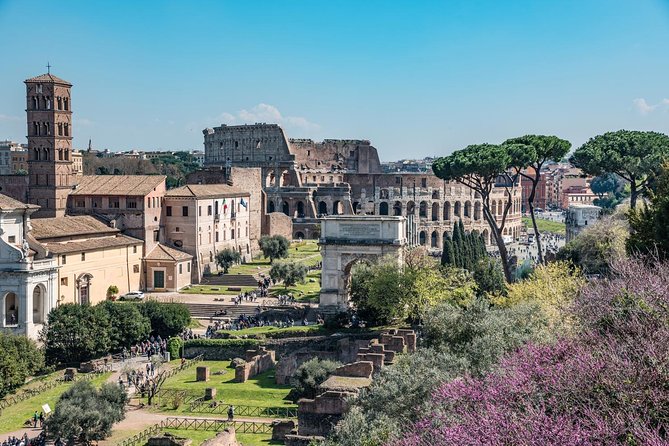 Private Tour of the Colosseum With Roman Forum & Palatine Hill - Skip-the-Line Admission
