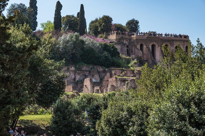 Private Tour of the Colosseum With Roman Forum & Palatine Hill - Tour Price and Availability