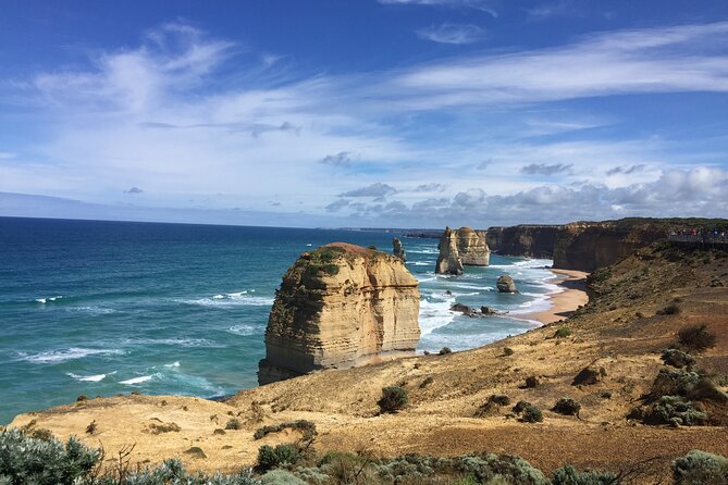Private Tour of the Great Ocean Road. 7 Guests Email if 8 or More - Reviews
