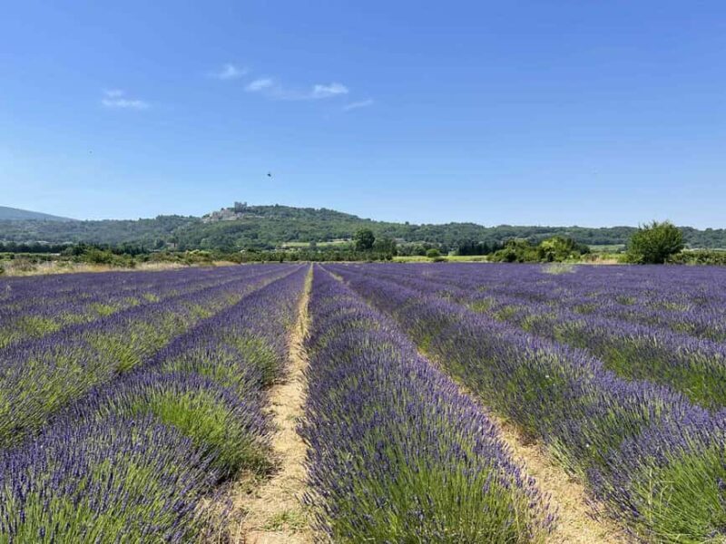 Private tour of the hilltop villages of the Luberon with a local guide - Who Would Love This Tour?
