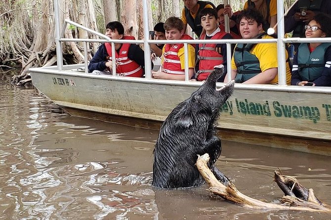 Private Tour of the Honey Island Swamp - Boat Cruise