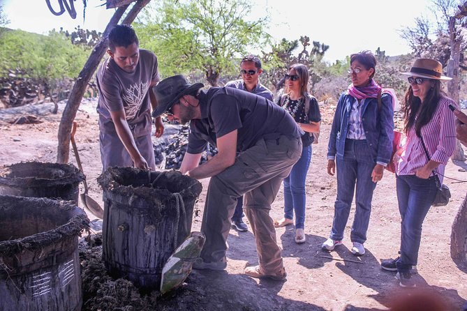 Private Tour of the Mezcal Route With Ancestral Drinks - Overview and Experience