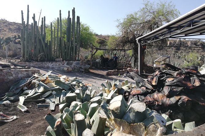 Private Tour of the Mezcal Route With Ancestral Drinks - Start and End Details