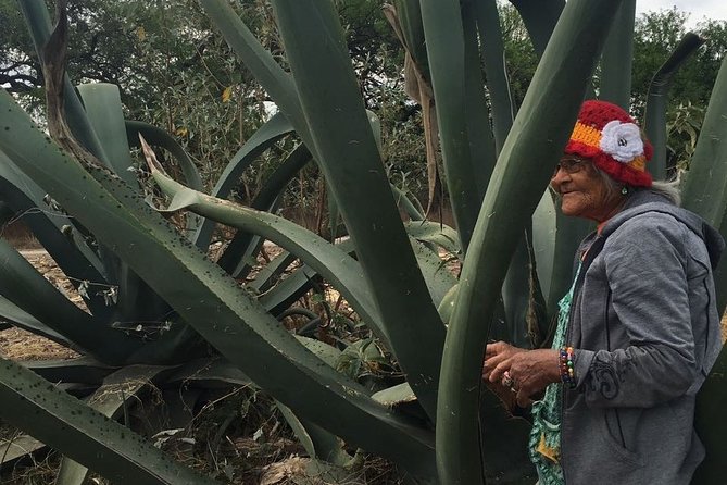 Private Tour of the Mezcal Route With Ancestral Drinks - Questions and Additional Information