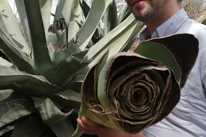 Private Tour of the Mezcal Route With Ancestral Drinks - Miscellaneous