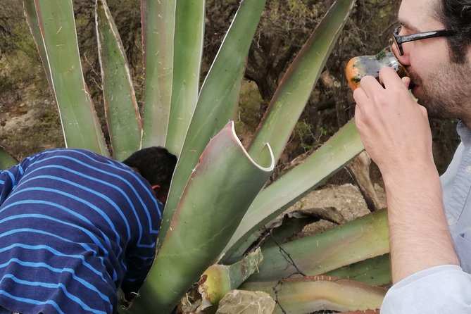 Private Tour of the Mezcal Route With Ancestral Drinks - Directions