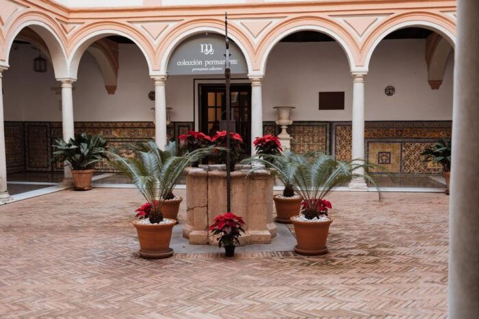 Private Tour of the Museum of Fine Arts, Seville - Common Questions