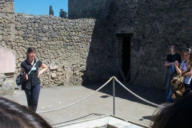 Private Tour of the Pompeii Excavations - Reviews and Pricing