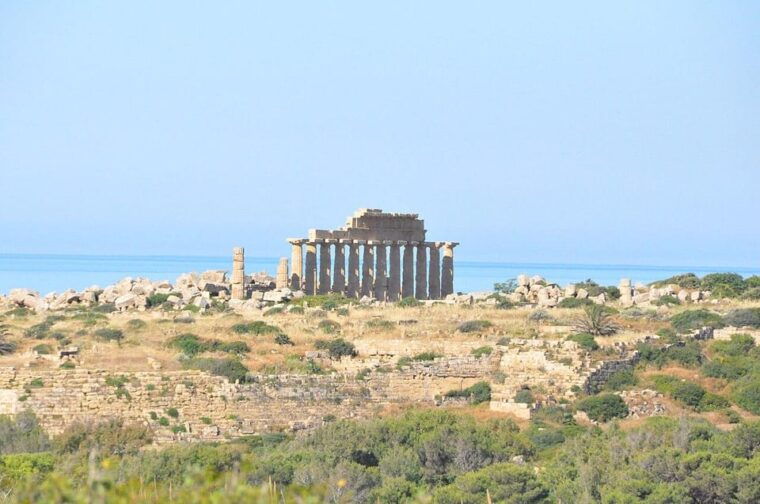 Private tour of the Selinunte Archaeological Park - Who Should Book This Tour?