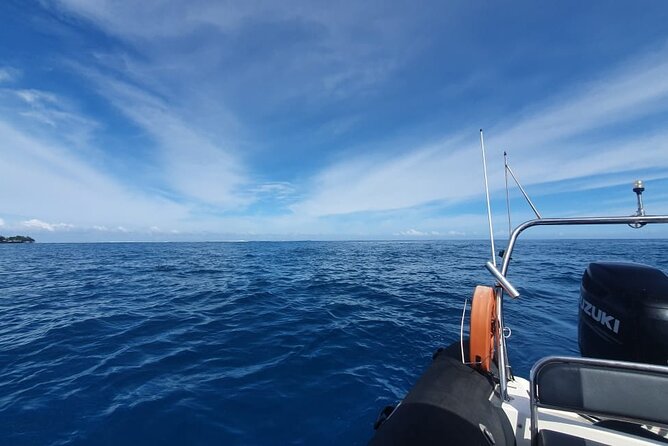 Private Tour of the Tahitis Lagoon by Boat Until 7 Pax - Knowledgeable Tour Guide