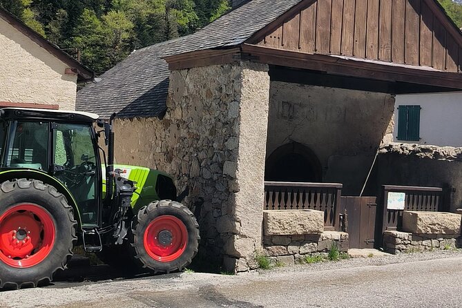 Private Tour of the Towns of the French and Aragonese Pyrenees. - Explore the Scenic Beauty