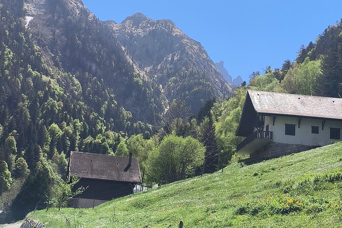 Private Tour of the Towns of the French and Aragonese Pyrenees. - Learn About the History and Culture