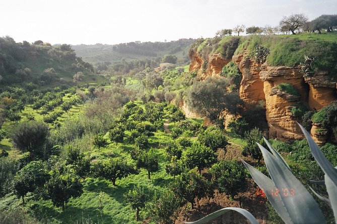 Private Tour of the Valley of the Temples and Kolymbethra in Sicily - Tour Highlights