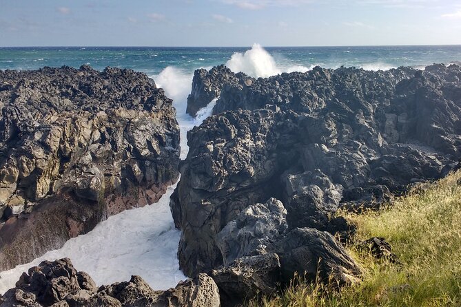 Private Tour of the West Volcanic Coast - Good To Know
