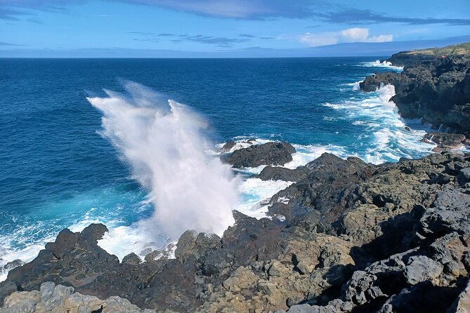 Private Tour of the West Volcanic Coast - Cancellation Policy