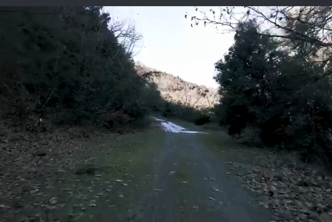 Private Tour of Thermopylae - Additional Fees and Requests