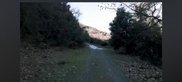 Private Tour of Thermopylae With a Pickup - Pricing Information