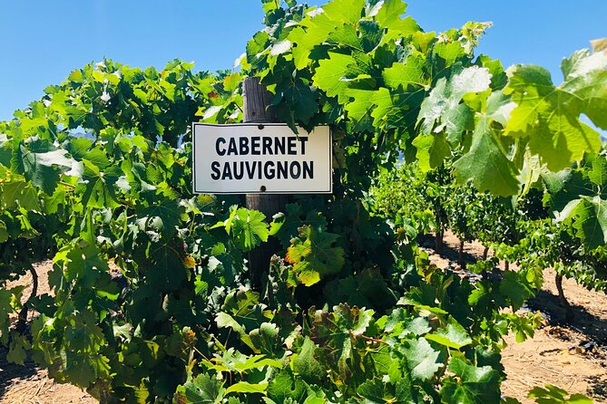 Private Tour of Top 5 Stellenbosch Wineries From Cape Town - Meeting and Pickup Details