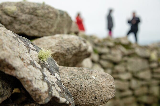 Private Tour of West Cornwall - Highly Varied Full Day Experience - The Sum Up