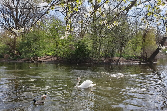 Private Tour of Westminster Abbey and the Royal Parks - Historical Significance