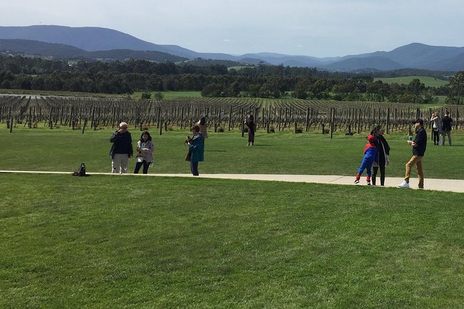 Private Tour of Yarra Valley 8 Hour Wine Tour - Tour Highlights