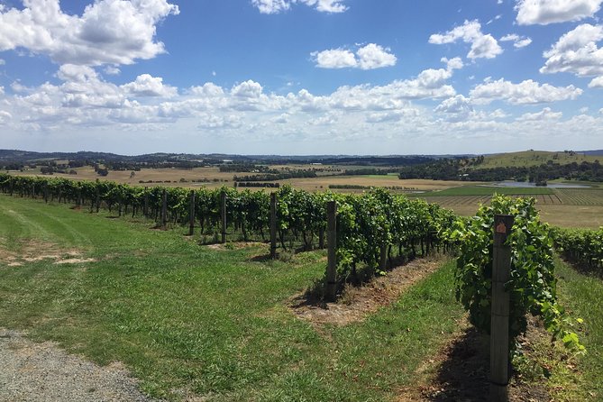 Private Tour of Yarra Valley 8 Hour Wine Tour - Gourmet Lunch Options