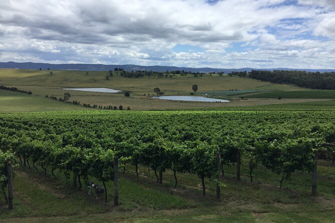 Private Tour of Yarra Valley 8 Hour Wine Tour - Expert Guide and Transportation