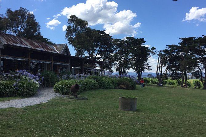 Private Tour of Yarra Valley 8 Hour Wine Tour - Scenic Views and Photo Opportunities