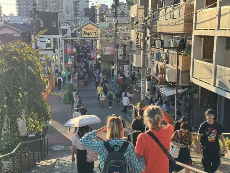 Private Tour : Old Tokyo Cultural Walk in Yanaka and Nezu - Final Thoughts